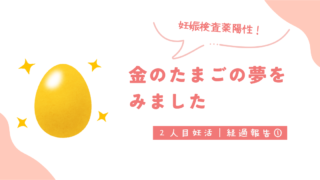 【2人目妊活】経過報告①｜金のたまごの夢をみました