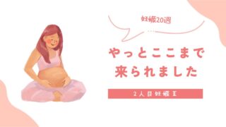 【2人目妊娠Ⅱ】妊娠20週|やっとここまで来られました