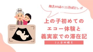 【2人目妊娠Ⅱ】離島妊婦の25週健診レポ|上の子初めてのエコー体験と義実家での滞在記
